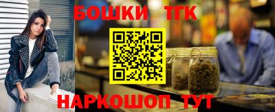 индика Малгобек