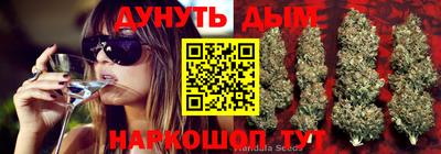 индика Малгобек