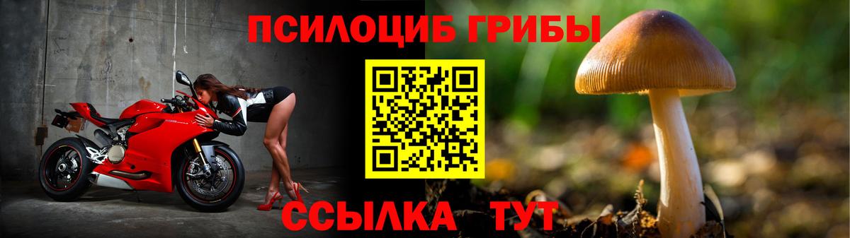 Горно-Алтайск  Галлюциногенные грибы GOLDEN TEACHER  Псилоцибиновые грибы прущие грибы  Вход с VPN 